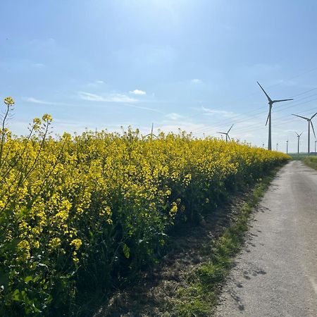 Kaisers Ferienhaus Kaifenheim Esterno foto